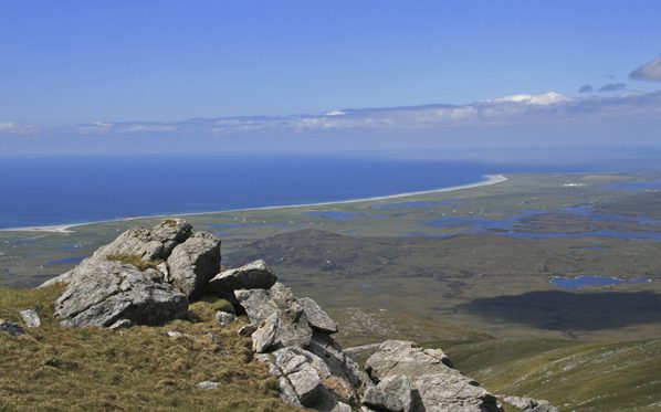 Four forward for election