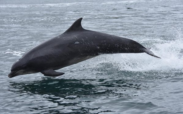 Getting close to nature