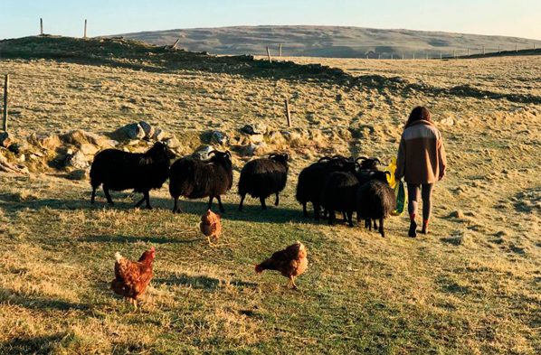 Crofters pleased with scanning results