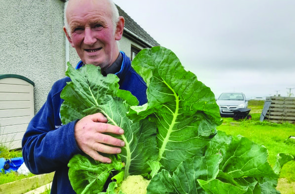 Accessible, affordable, convenient and nutritious!